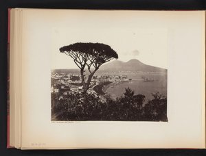 フォア グラウンドで松の木とナポリ、イタリアのビュー Panorama dal Vomero Napoli (オブジェクトのタイトル) 作： Giorgio Sommer