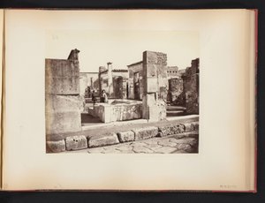 イタリア、ポンペイのカサ ディ サルスティオの遺跡の眺め Casa di Salustio Pompeii (オブジェクトのタイトル) 作： Giorgio Sommer