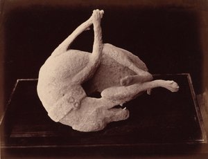 キャスト、ポンペイ、c.1870年（写真） 作： ジョルジオの夏