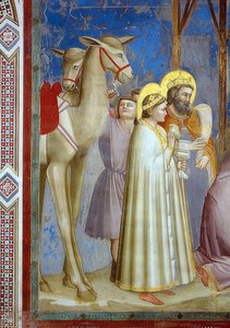 王の崇拝。詳細：2頭のラクダと王様とその贈り物。 1305 作： Giotto di Bondone