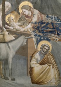 キリスト降誕、聖母子の詳細、ロバとジョセフ、1303-05（復元後）