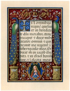 聖母と 2 羽の孔雀のテキスト ページ、c1490 作： Giovan Pietro Birago