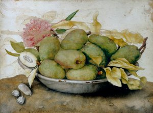 ビワ、アーモンド、バラのプレート 作： Giovanna Garzoni