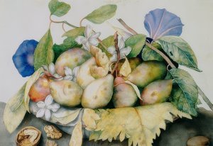 プラム、ジャスミン、クルミのプレート 作： Giovanna Garzoni