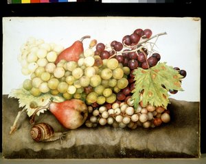 不明な画像 作： Giovanna Garzoni