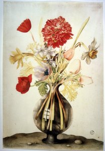 不明な画像 作： Giovanna Garzoni