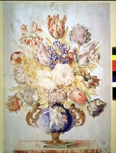 不明な画像 作： Giovanna Garzoni