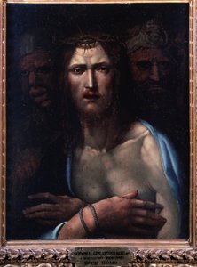 Ecce homo - 木に油 作： Giovanni Antonio Bazzi Sodoma
