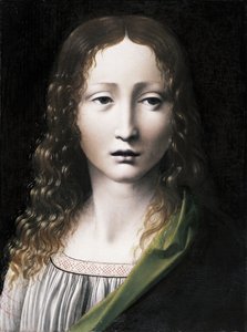 エルサルバドルアドルセント思春期の救世主、1490年〜1495年