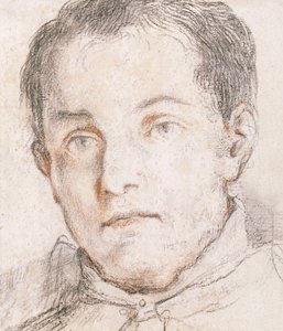 若い男の肖像、 作： Giovanni Antonio Burrini or Burino