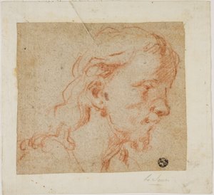 キリストの頭部、4分の3横顔、右へ 作： Giovanni Antonio Guardi