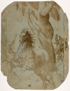 聖パウロの回心 (直腸); 後ろから見た男 (裏面) 作： Giovanni Antonio da Pordenone