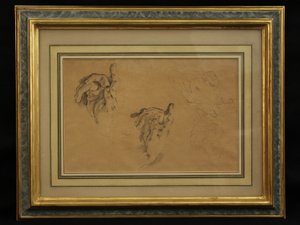 女性の習作（鉛筆） 作： Giovanni Battista Tiepolo