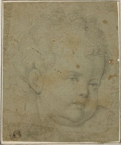 子供の頭 作： Giovanni Battista Caracciolo