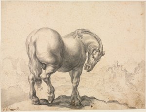 スタリオンの研究、最初の3世紀から18世紀。 作： Giovanni Battista Foggini