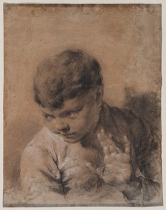 芸術家の息子ジャコモの肖像 作： Giovanni Battista Piazzetta