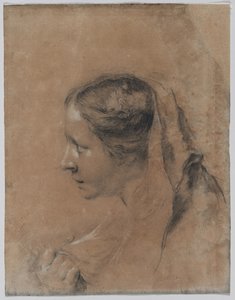 スカーフを巻いた横顔の女性の頭部 作： Giovanni Battista Piazzetta