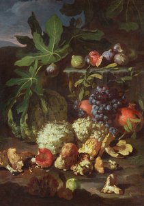 静物 作： Giovanni Battista Ruoppolo or Ruopolo