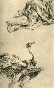 走っているダチョウ、1752-1753、1928 作： Giovanni Battista Tiepolo