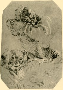 ボローニャ犬、1751年〜1752年、1928年 作： Giovanni Battista Tiepolo