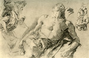 ビュッケブルクのヒヤシンスの詳細な研究、c1752、1928