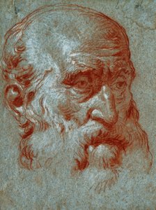 ベネチアの貴族の頭、4分の3の顔、 作： Giovanni Battista Tiepolo