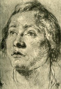 18世紀半ば、1928年の青年の頭 作： Giovanni Battista Tiepolo