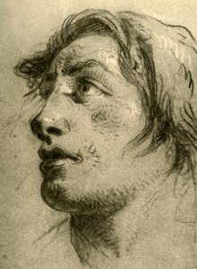 18世紀半ば、1928年、ほぼ横顔で見上げる若者の頭 作： Giovanni Battista Tiepolo