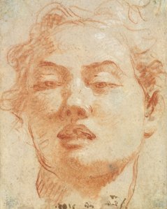 若い男の頭（紙に赤と白のチョーク） 作： Giovanni Battista Tiepolo