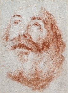 見上げる老人の頭、 作： Giovanni Battista Tiepolo