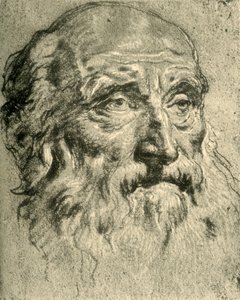 18世紀半ばの老人の頭、1928年 作： Giovanni Battista Tiepolo