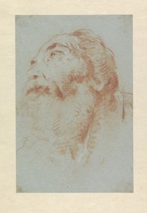 老人の頭 作： Giovanni Battista Tiepolo