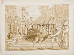 ダチョウのプンチネッロ、1800年頃（ペン＆ライトブラウンインク（おそらくbistre）、敷き紙の上に黒いチョークで筆洗い）