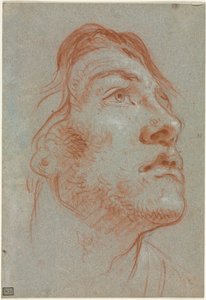 右上を見上げる青年の頭部 作： Giovanni Battista Tiepolo