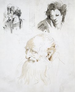 頭部に関する3つの研究（紙にペン、インク、ウォッシュ） 作： Giovanni Battista Tiepolo