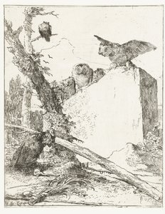 石の近くにフクロウがいるスケルツィ ディ ファンタジアのタイトル プリント Scherzi di fantasia (シリーズタイトル) 作： Giovanni Battista Tiepolo