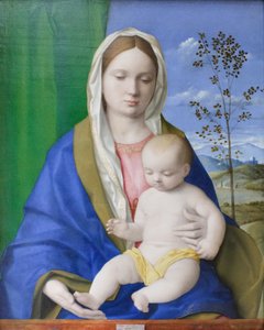聖母子像 1500年頃 パネルに油彩 作： Giovanni Bellini