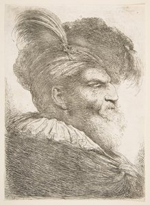 ラージオリエンタルヘッドシリーズから、右を向いた老人の頭。 1645-1650。 作： Giovanni Benedetto Castiglione
