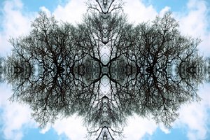 Unnatural 100（デジタル処理された写真 作： Giovanni Cafagna