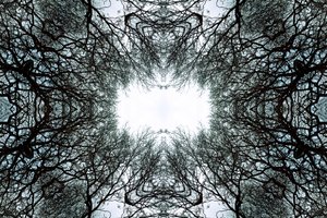 Unnatural 101（デジタル加工された写真 作： Giovanni Cafagna