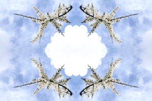 Unnatural 115（デジタルで加工された写真 作： Giovanni Cafagna