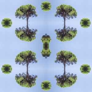 不自然な118（デジタルで加工された写真 作： Giovanni Cafagna