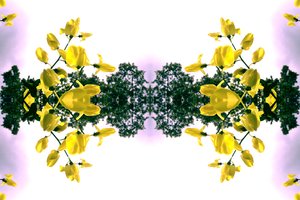 Unnatural 151.2（デジタル処理された写真 作： Giovanni Cafagna