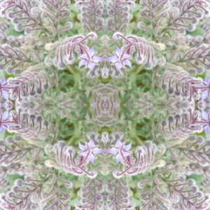 不自然な161（デジタルで加工された写真 作： Giovanni Cafagna