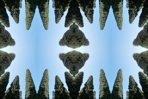 Unnatural 169（デジタルで加工された写真 作： Giovanni Cafagna