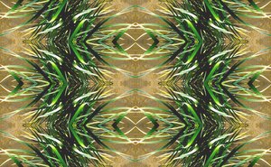 Unnatural 16（デジタル処理された写真） 作： Giovanni Cafagna