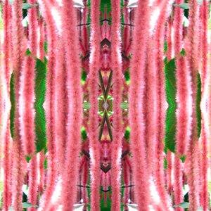 不自然な172（デジタルで加工された写真 作： Giovanni Cafagna