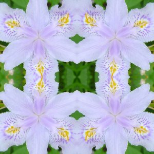 Unnatural 174（デジタル処理された写真 作： Giovanni Cafagna