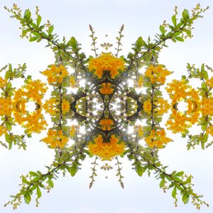 Unnatural 175（デジタル処理された写真 作： Giovanni Cafagna
