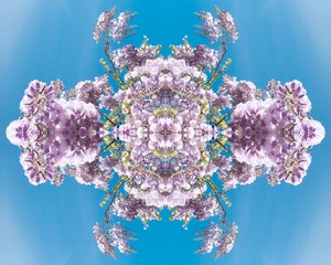 Unnatural 180（デジタルで加工された写真 作： Giovanni Cafagna